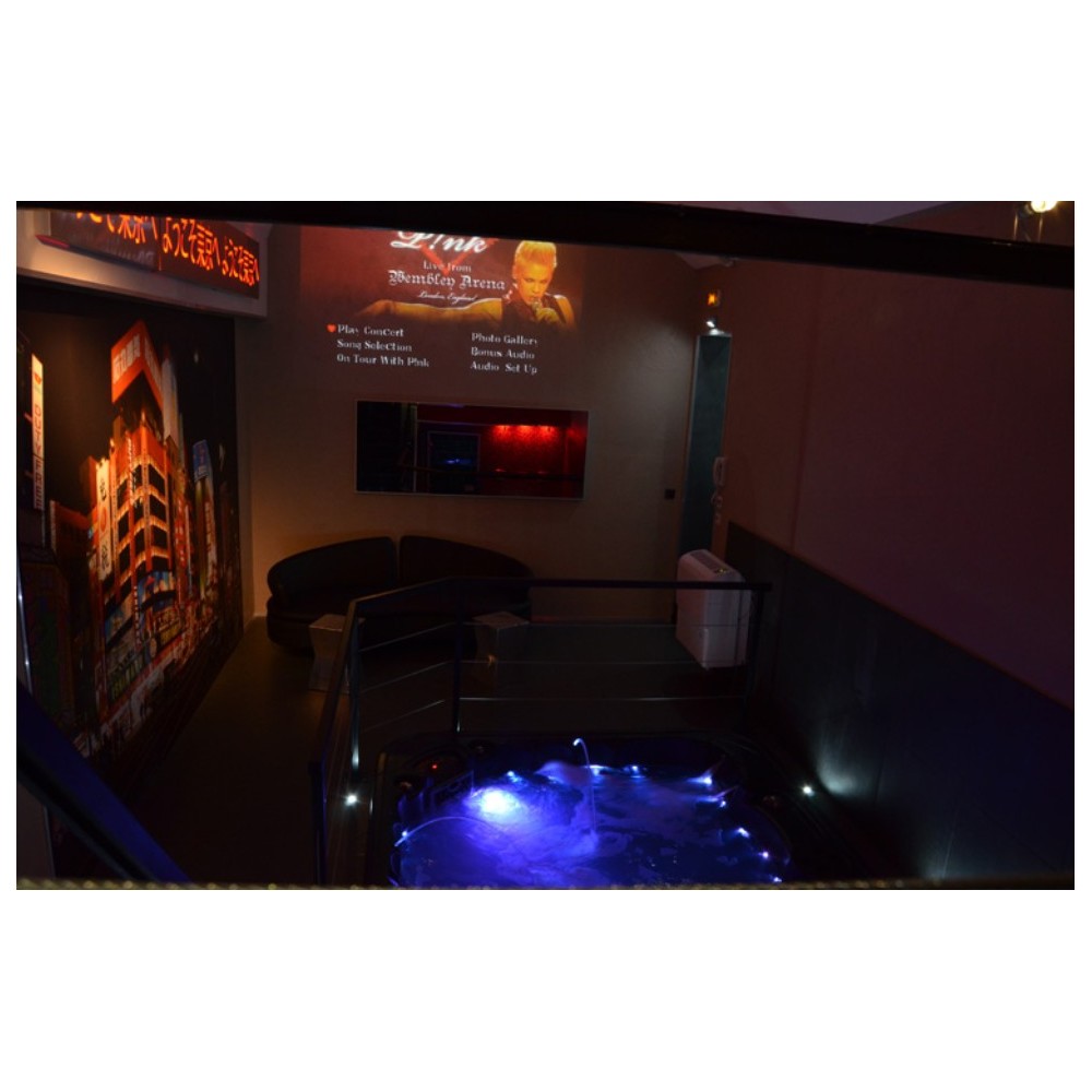 Déshumidificateur d'air d'ambiance - DTF 950