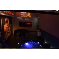 Déshumidificateur d'air d'ambiance - DTF 950